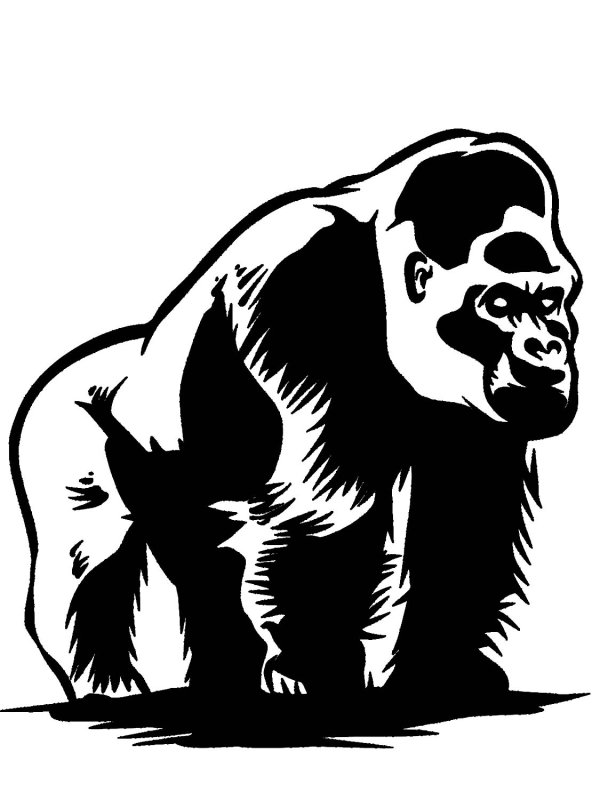 Горилла раскраска