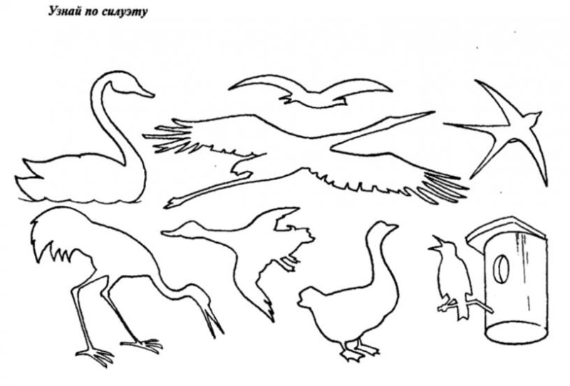 Раскраски на тему перелетные птицы