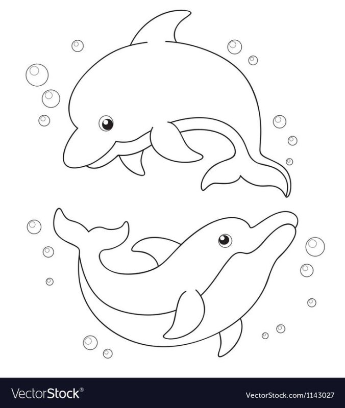 Дельфины картинки для детей раскраска