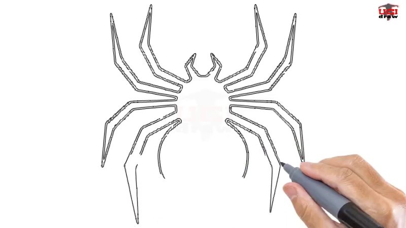 Паук трафарет