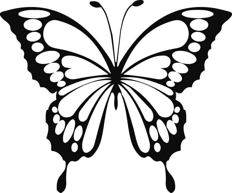 Трафареты бабочек для декора