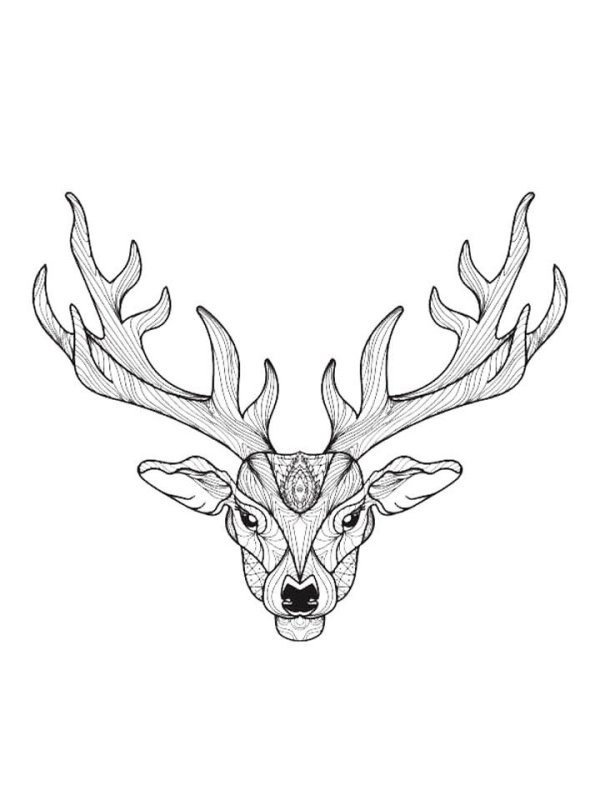 Северный олень раскраска