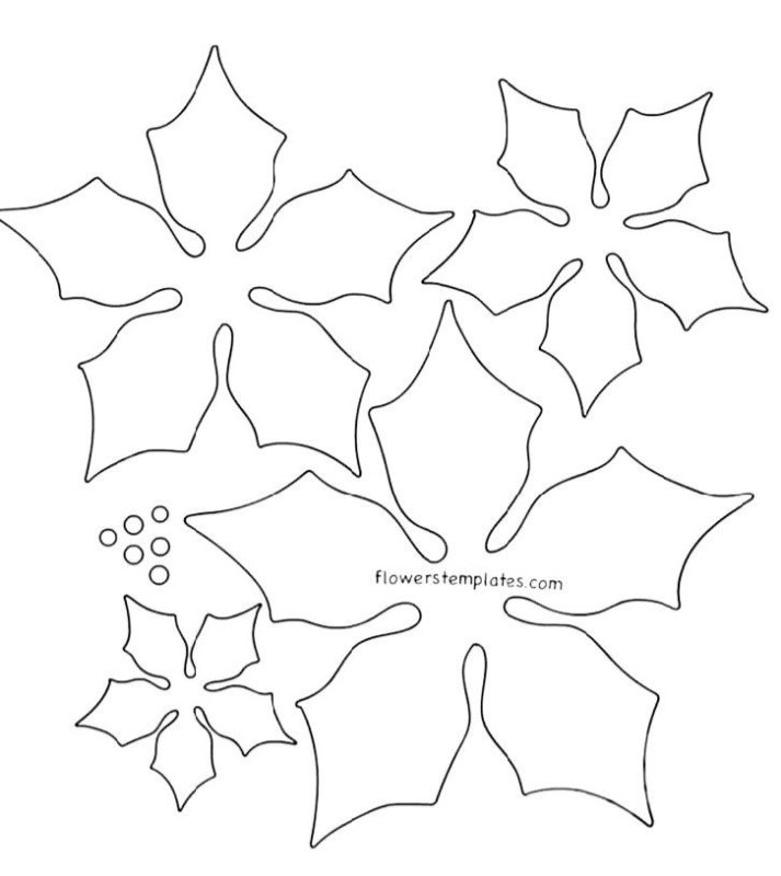 Трафарет пуансеттия из фоамирана