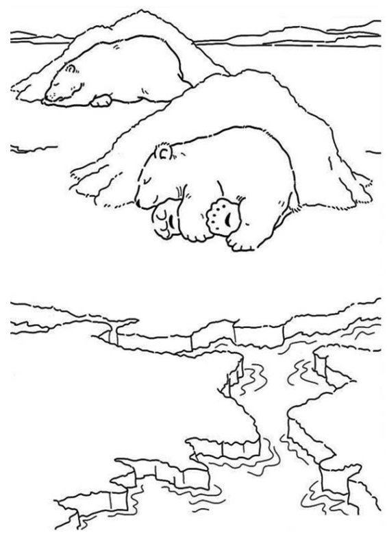 Арктика раскраска