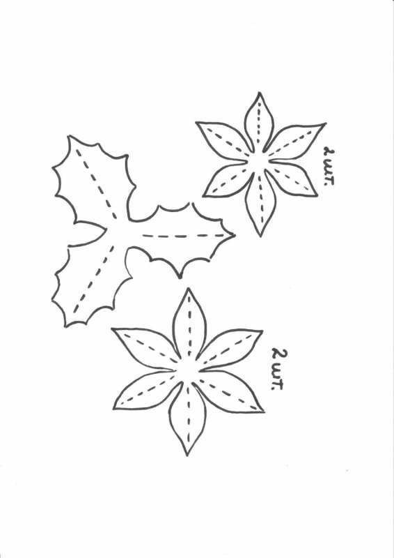 Трафарет цветка пуансеттия