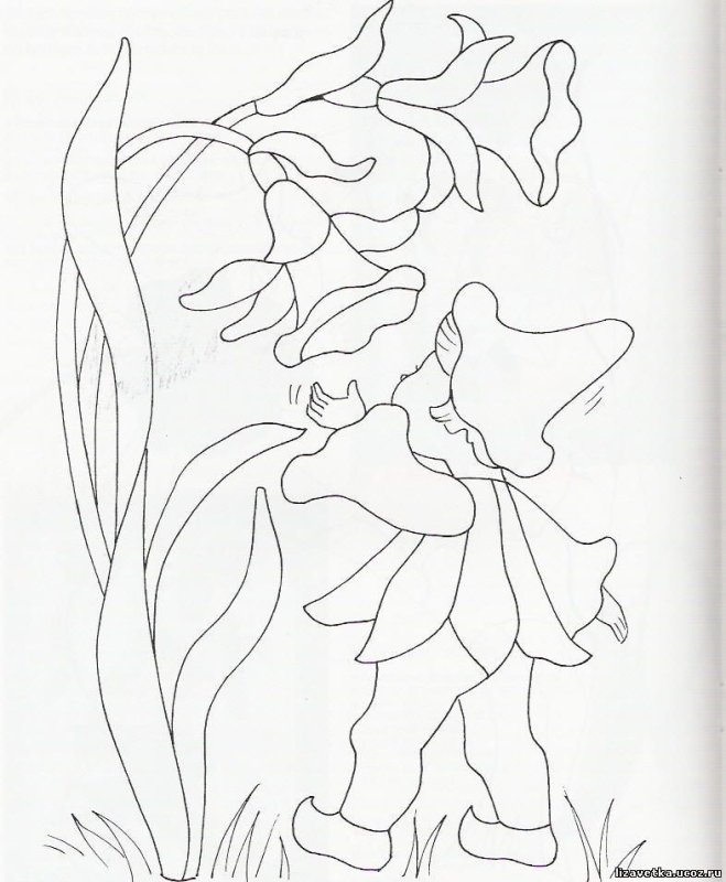 Кинусайга цветы