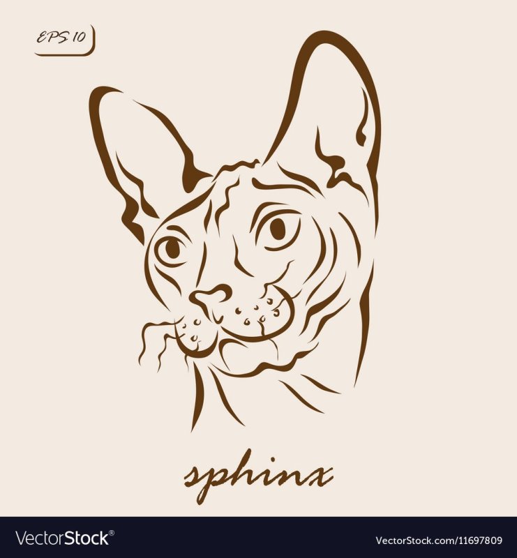 Сфинкс рисунок