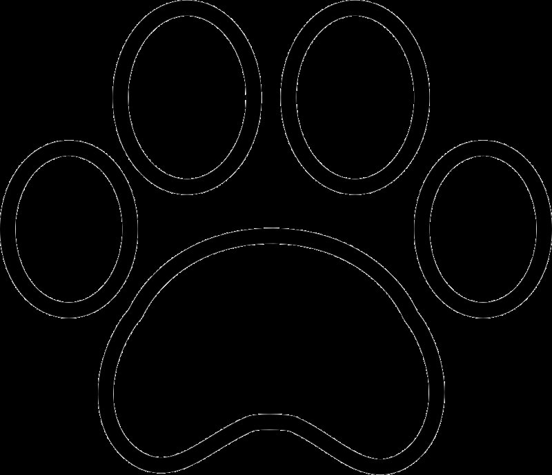 Кошачья лапка раскраска