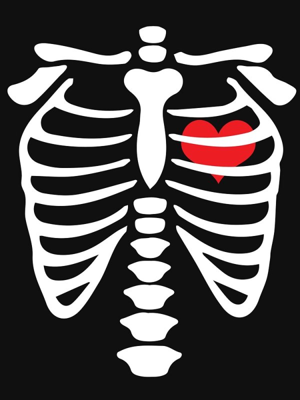 Грудная клетка трафарет