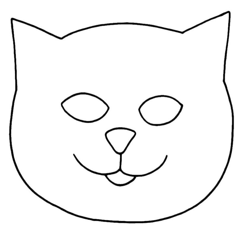 Кот с маской на морде