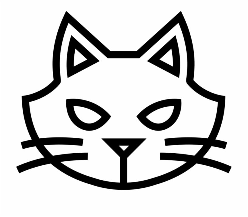 Морда кошки