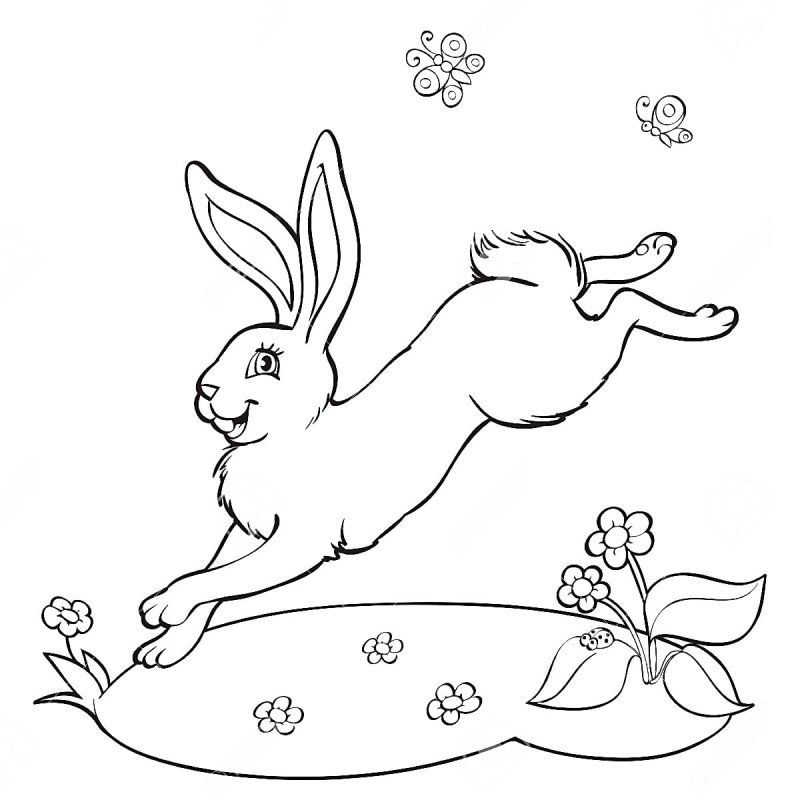 Заяц для раскрашивания детям