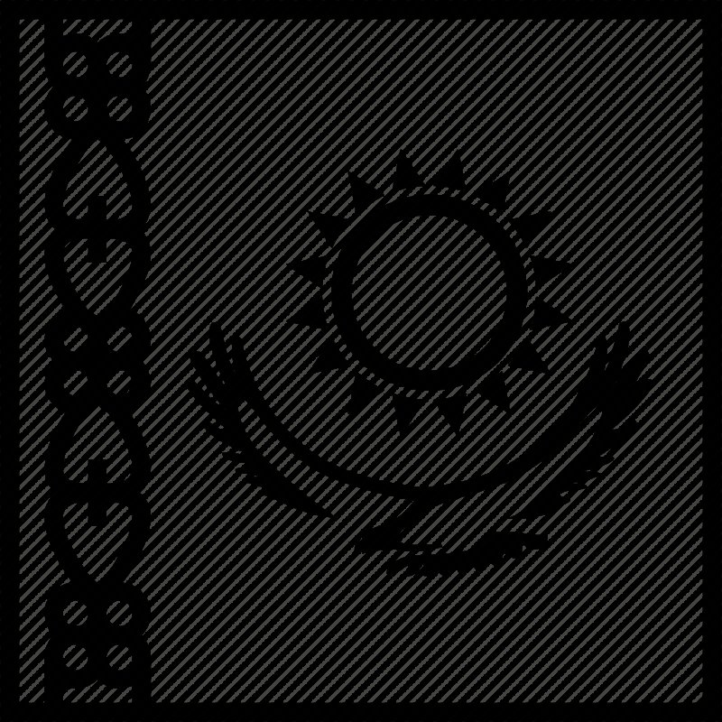 Флаг Казахстана эскиз