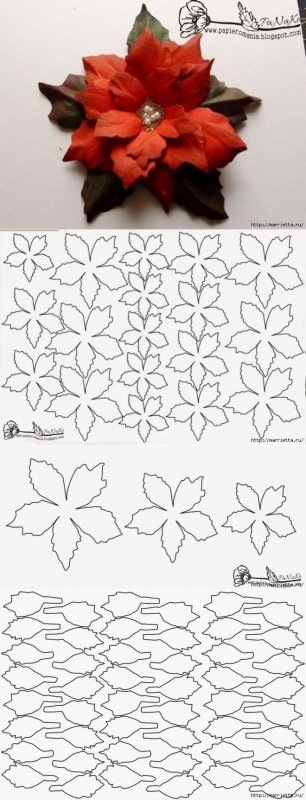 Шаблон пуансетии