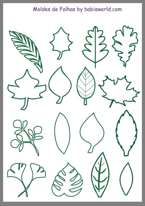 Трафарет цветочка с листиками