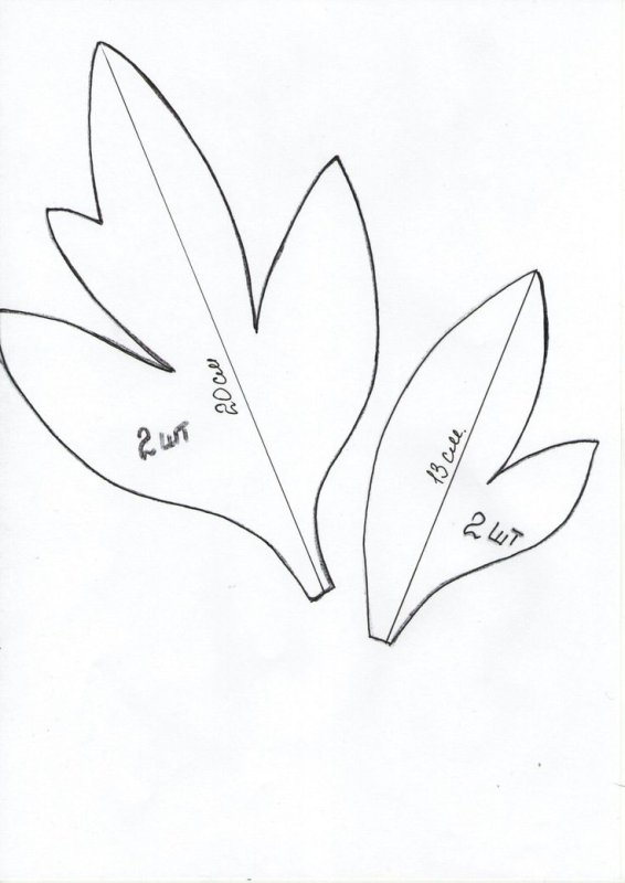 Трафареты листиков для цветов