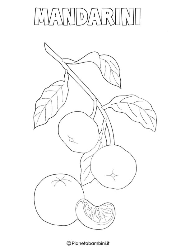Мандарин раскраска для малышей