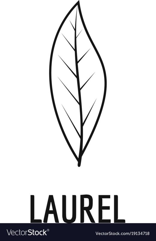 Лист Лавра трафарет
