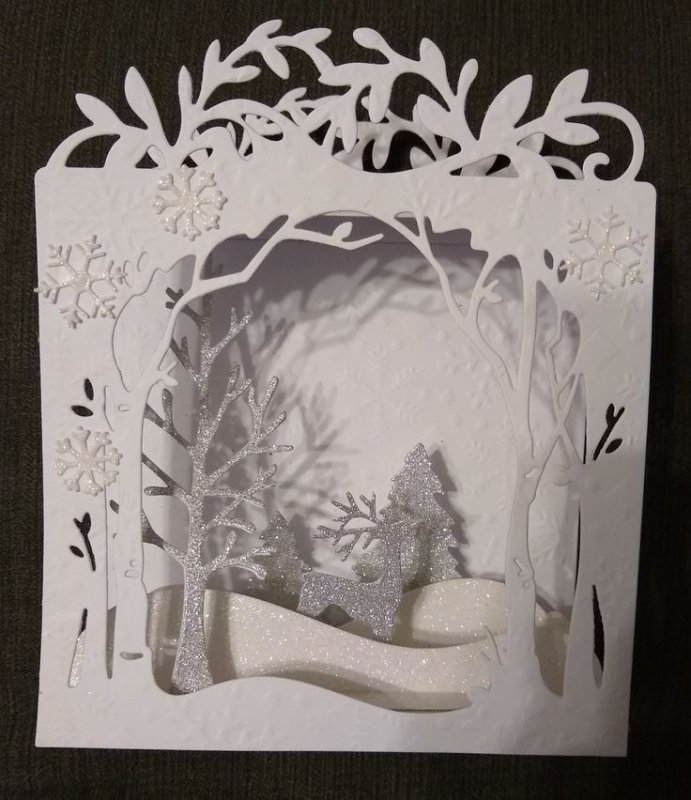 Бумажный туннель (tunnel book)