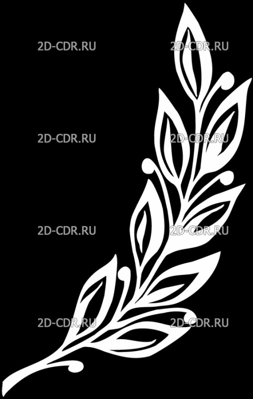 Лавр гравировка