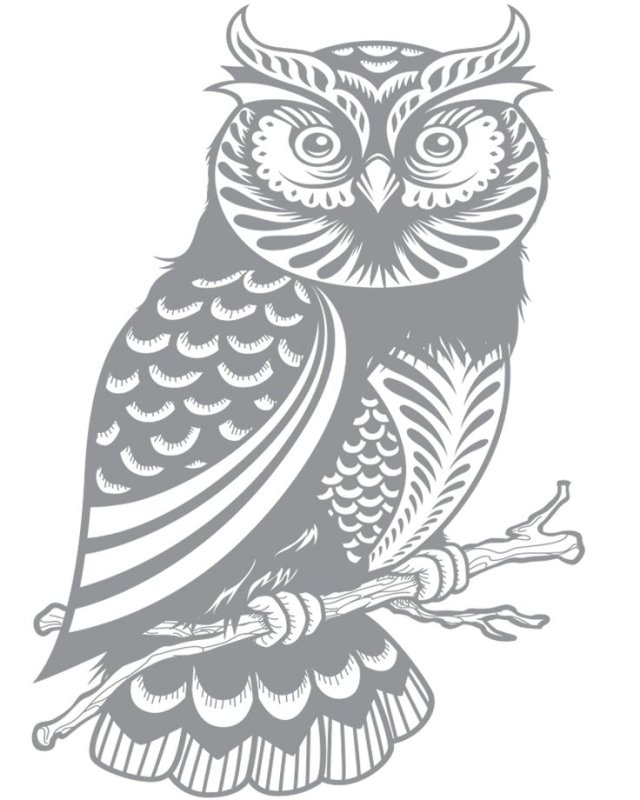 Совушка трафарет
