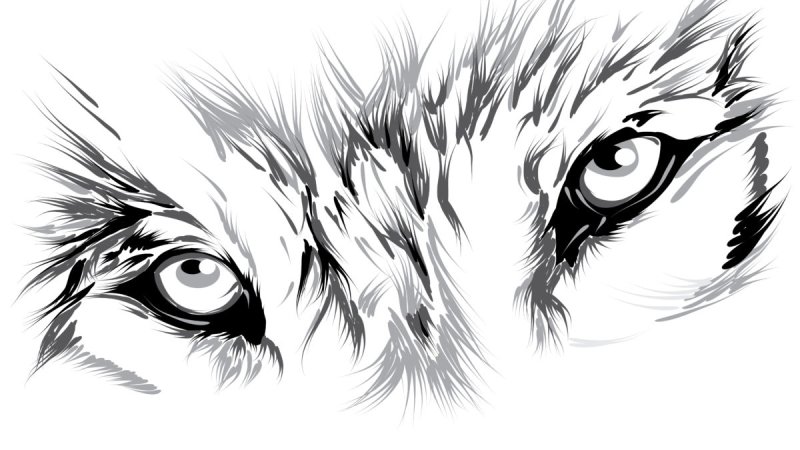 Волк Графика