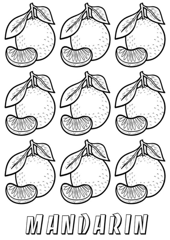 Мандарин раскраска