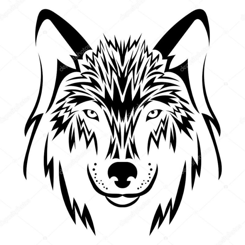 Очертания морды волка