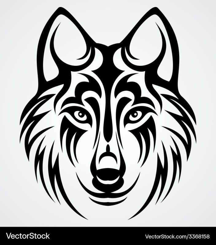 Тату голова волка