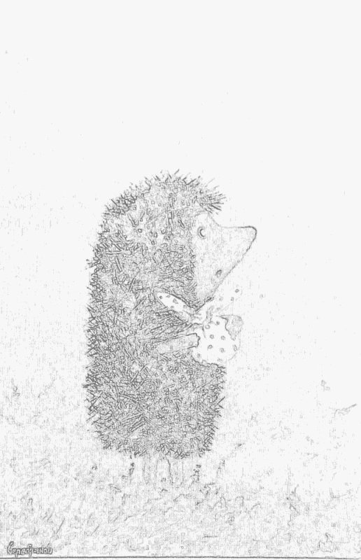 Ежик в тумане