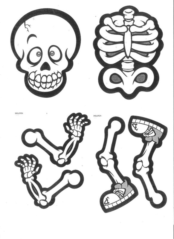 Скелет для вырезания