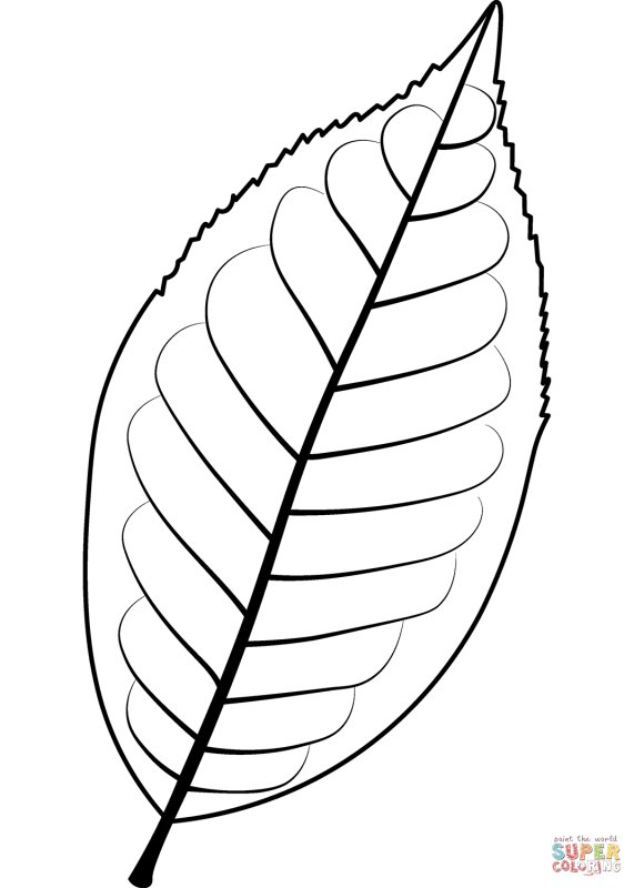 Листик раскраска