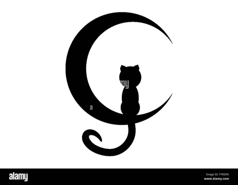 Кот на Луне силуэт