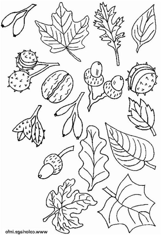 Осень раскраска для детей