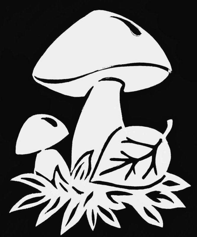 Вытынанка грибы