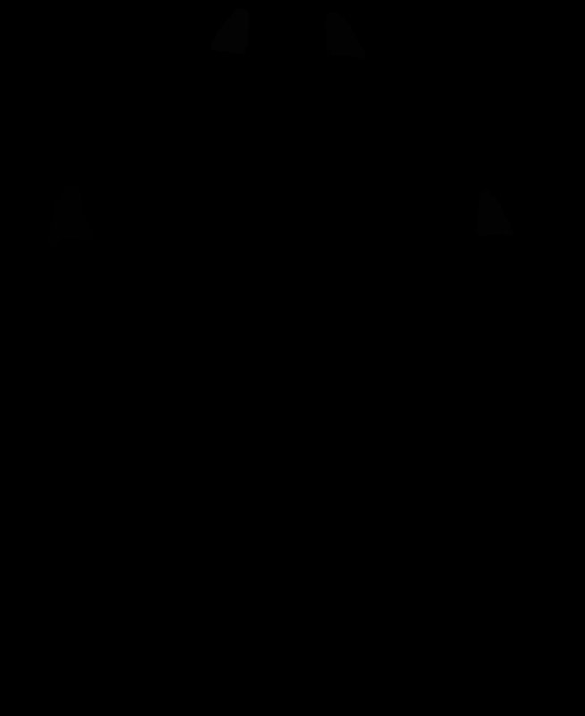 Лапа собаки