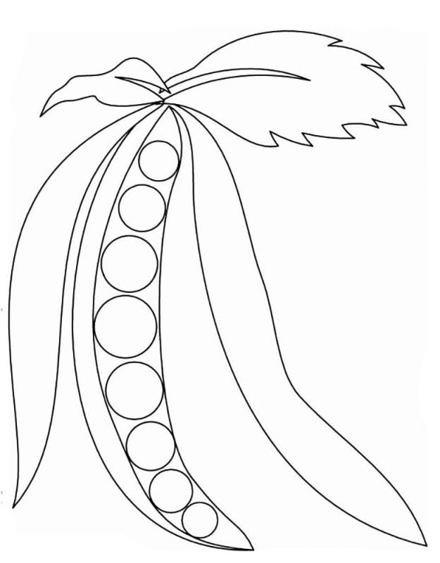 Горох раскраска для детей