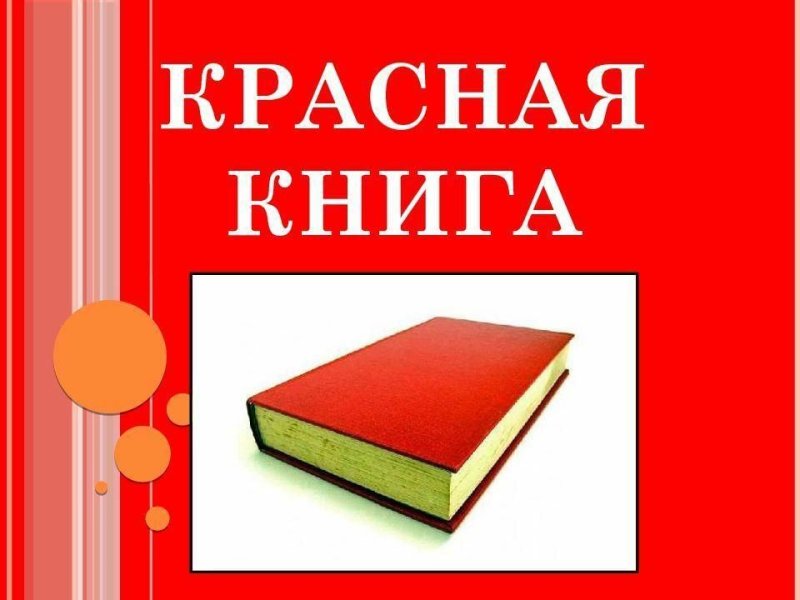 Красная книга обложка