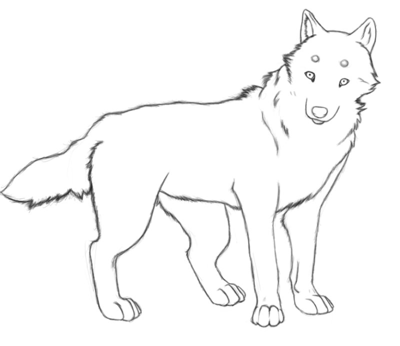 Волк раскраска для детей