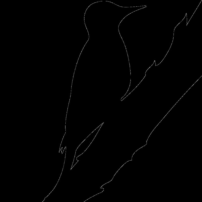 Силуэт птицы