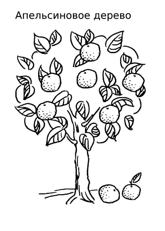 Дерево раскраска для детей