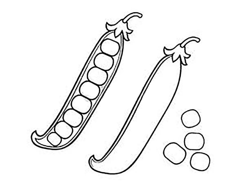 Горох картинка для детей раскраска