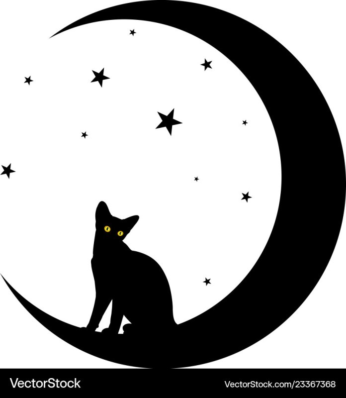 Котик на Луне