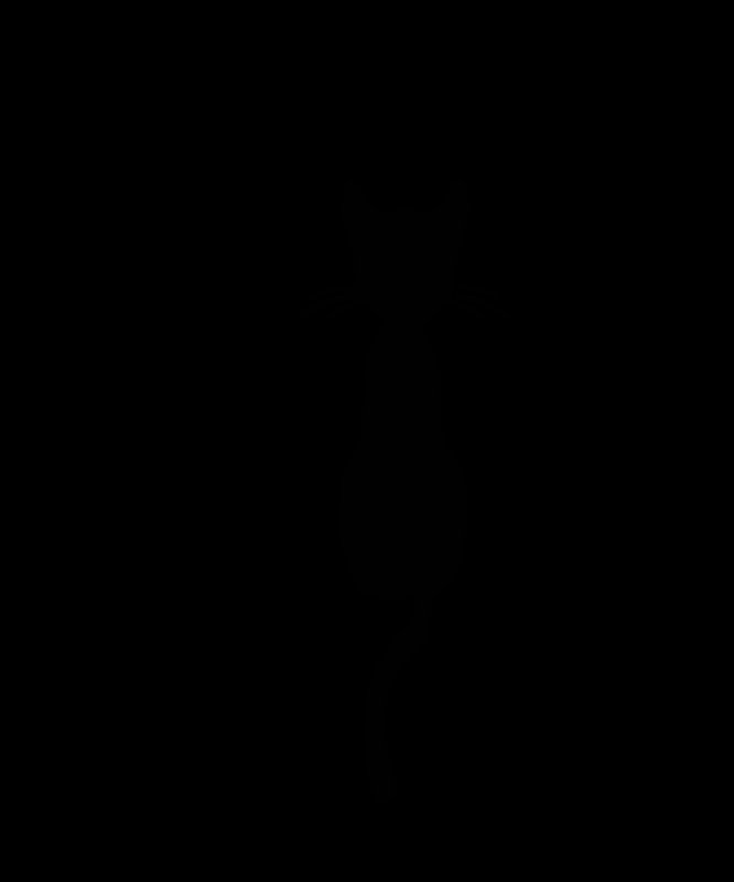 Силуэт кошки