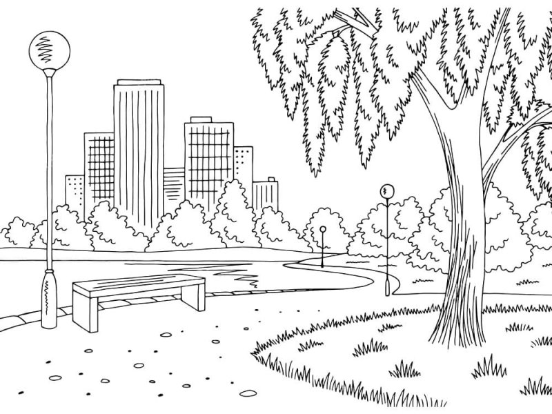 Раскраска парк