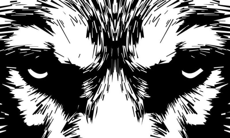 Глаза волка вектор