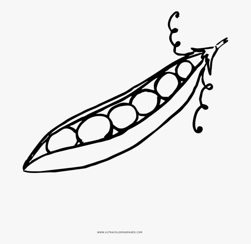 Горох раскраска