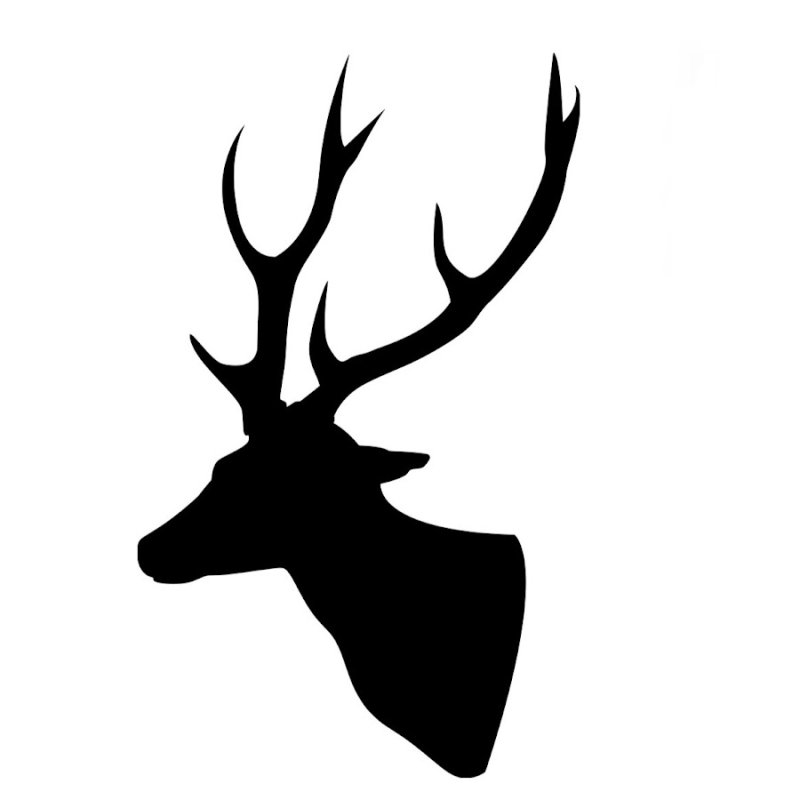 Голова оленя трафарет