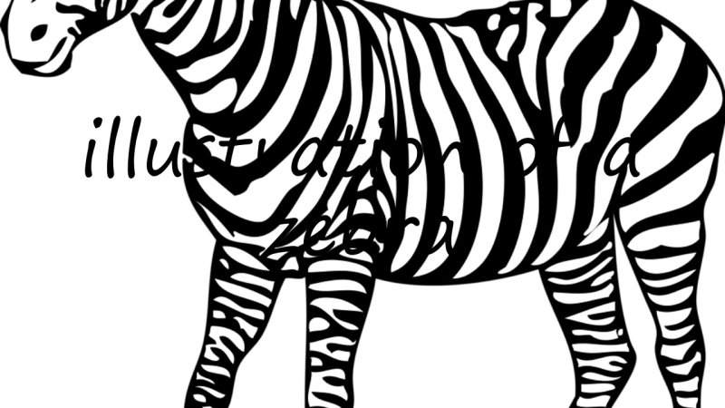 Зебра картинка раскраска