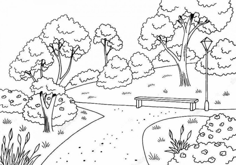 Парк раскраска для детей